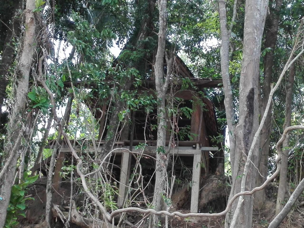 Bedda Eco Cottages Deniyaya Exterior foto